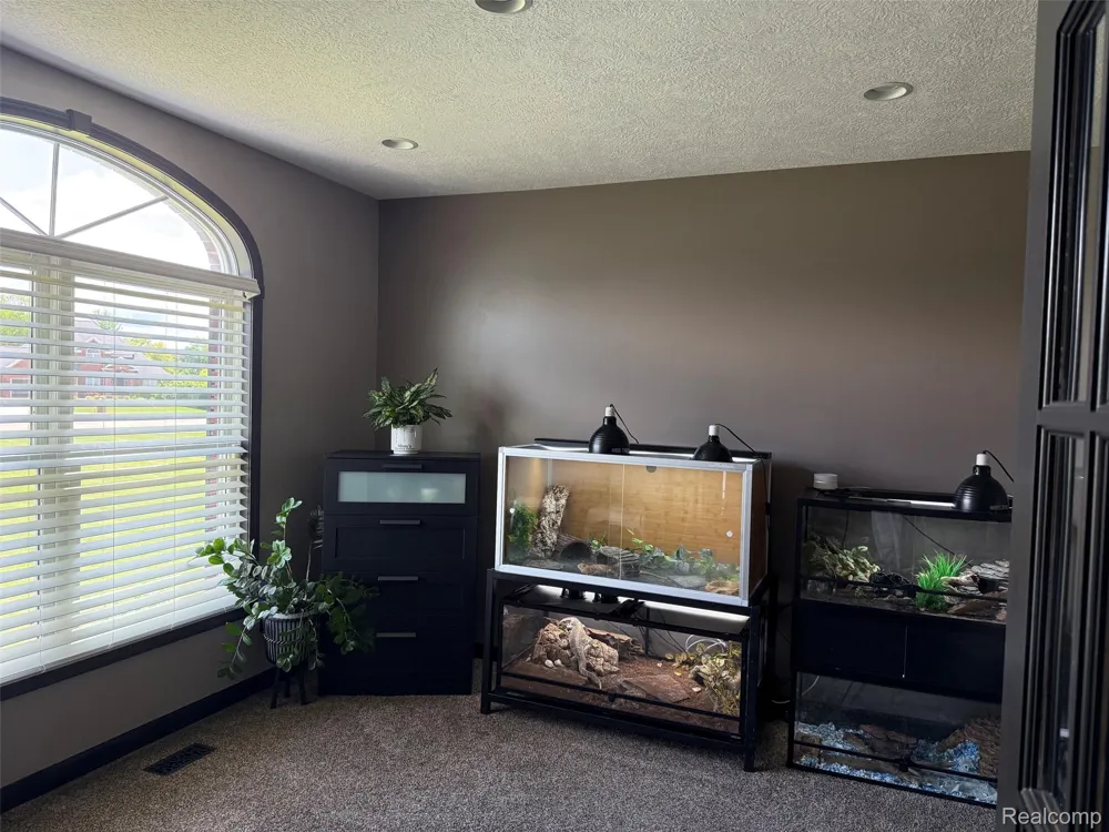 16118 Jeff Court Watertown Charter Township, MI 48837