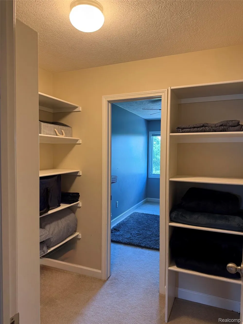 16118 Jeff Court Watertown Charter Township, MI 48837