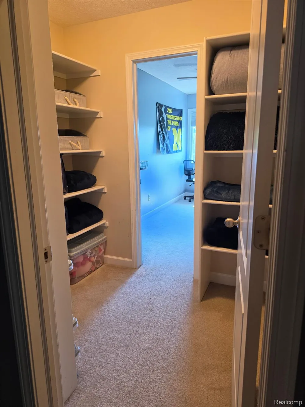 16118 Jeff Court Watertown Charter Township, MI 48837