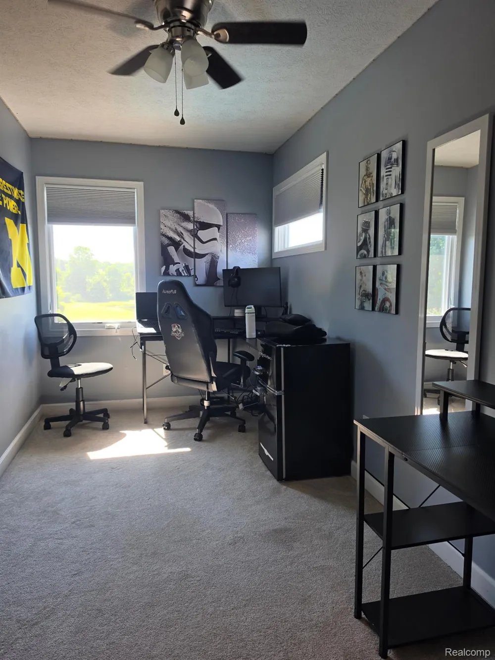 16118 Jeff Court Watertown Charter Township, MI 48837