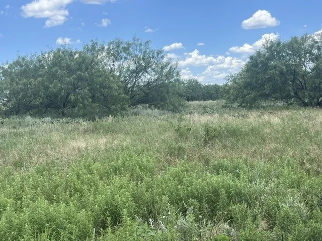 3417 State Highway 67 Graham, TX 76450