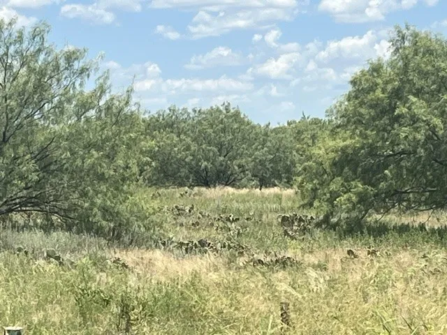 3417 State Highway 67 Graham, TX 76450