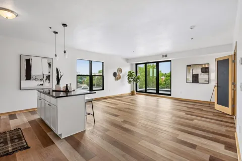 1502 5th Street #313