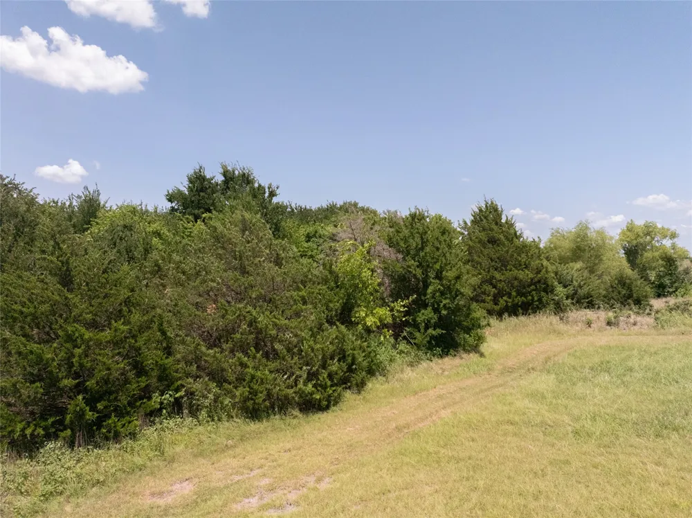 CR 728 Princeton, TX 75407