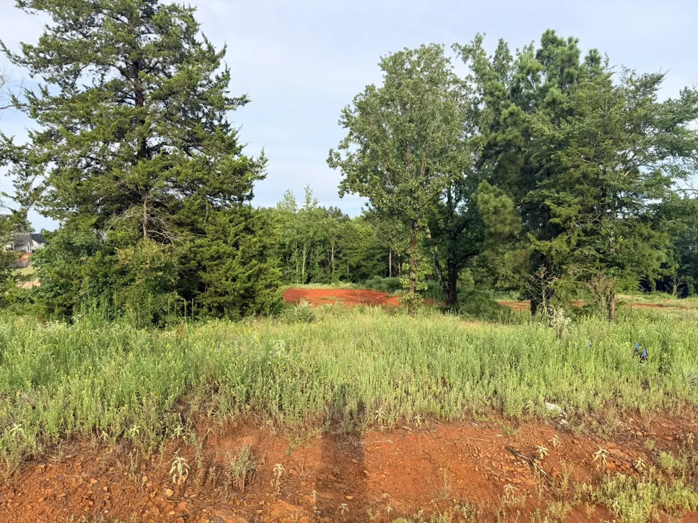 12335 Oak Grove Drive Tyler, TX 75706