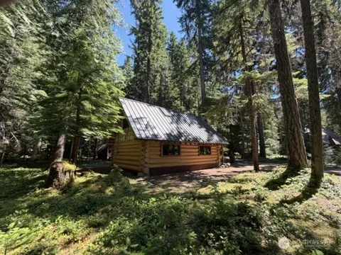 141 USFS Silver Springs  FS RD 7175