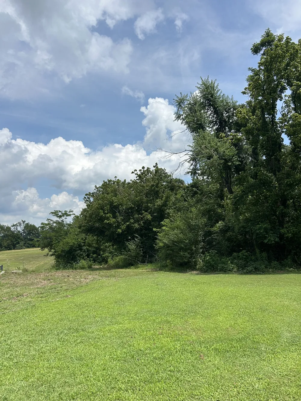 0 Pleasant Grove Rd Westmoreland, TN 37186