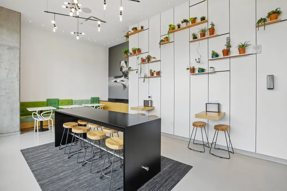 301 West Avenue #1204 Austin, TX 78701