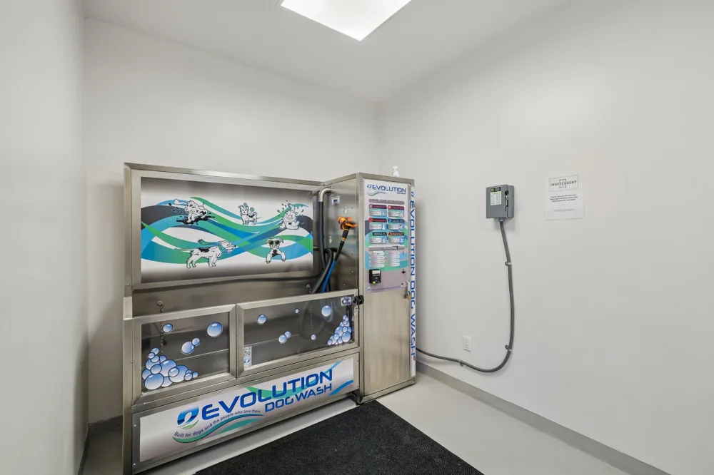 301 West Avenue #1204 Austin, TX 78701