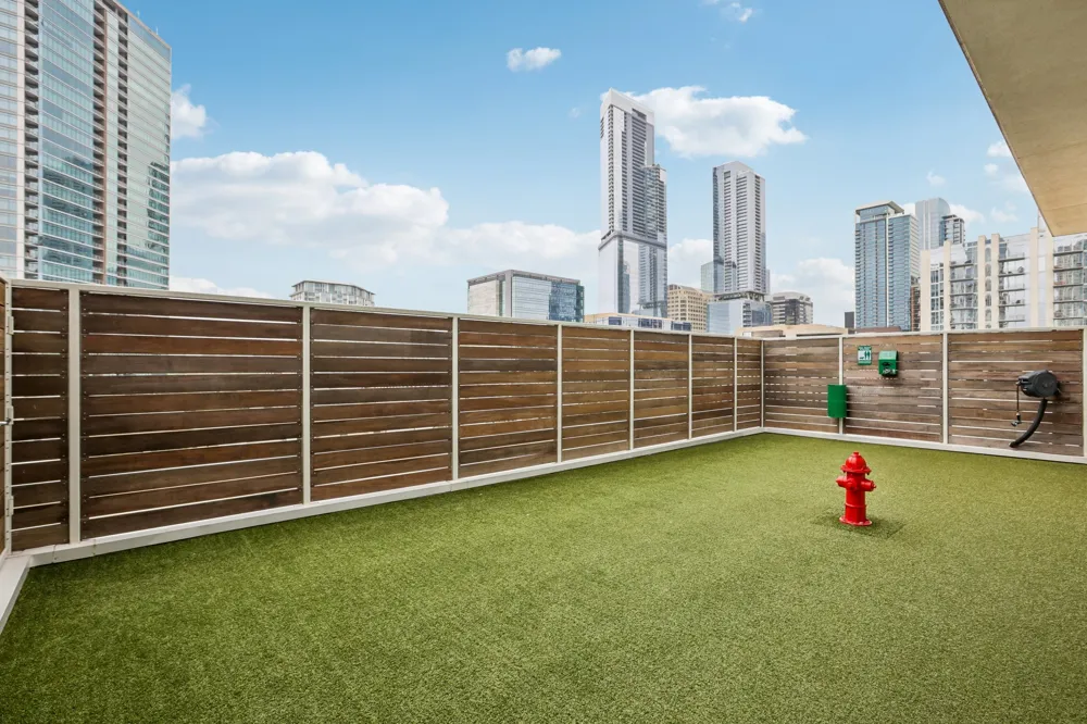 301 West Avenue #1204 Austin, TX 78701