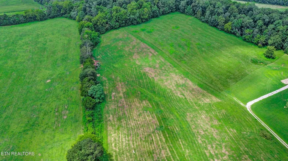 0 Collier Lane Rock Island, TN 38581