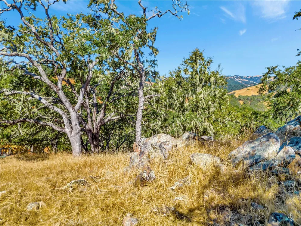 6452 Alta Pradera Atascadero, CA 93422