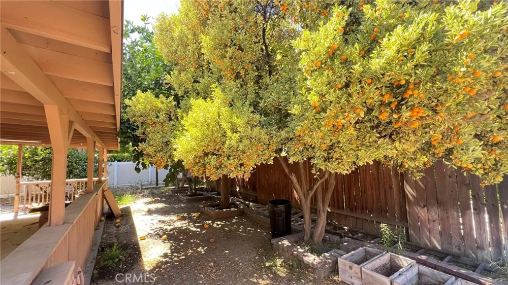 26062 Reynolds Loma Linda, CA 92354