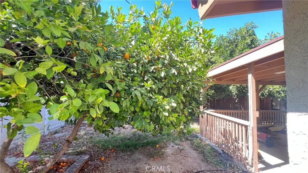 26062 Reynolds Loma Linda, CA 92354