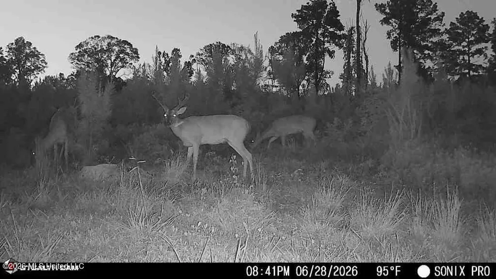 3368 Busy Corner Road Gloster, MS 39638