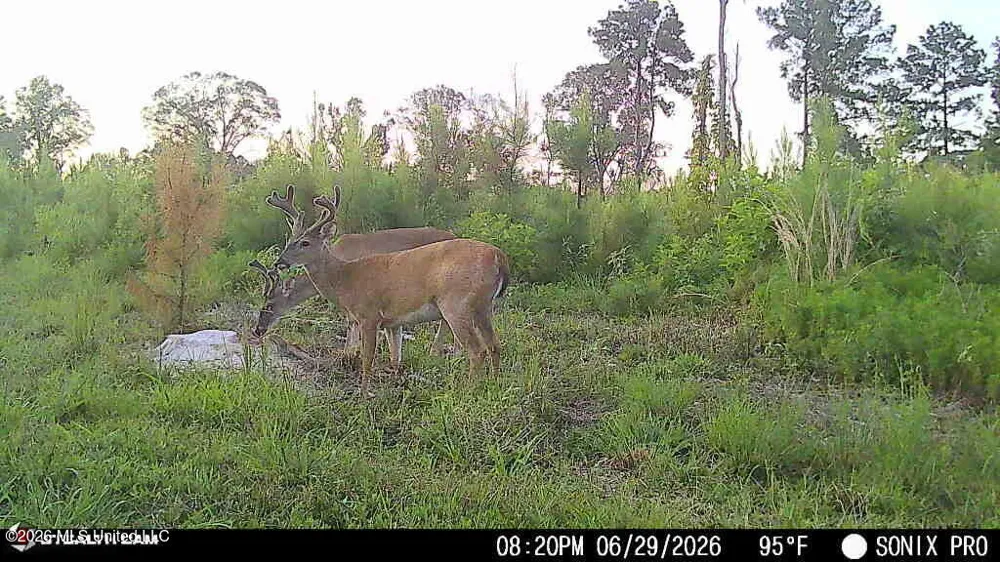 3368 Busy Corner Road Gloster, MS 39638
