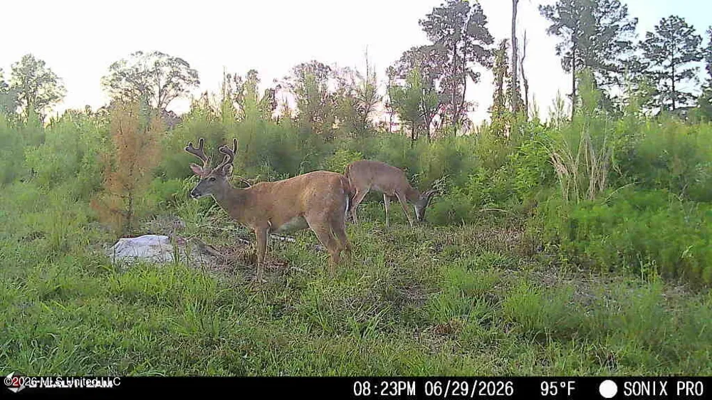 3368 Busy Corner Road Gloster, MS 39638
