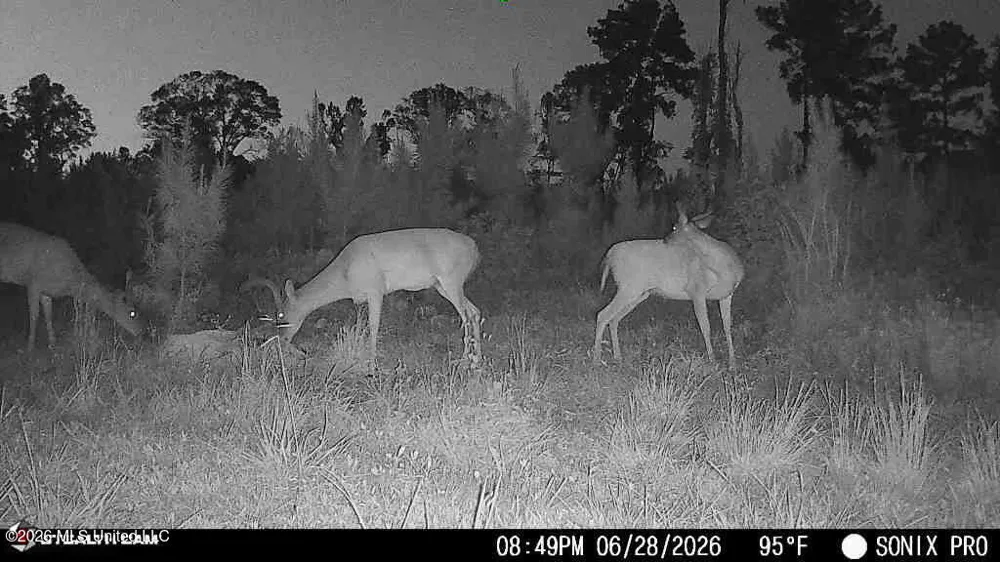 3368 Busy Corner Road Gloster, MS 39638