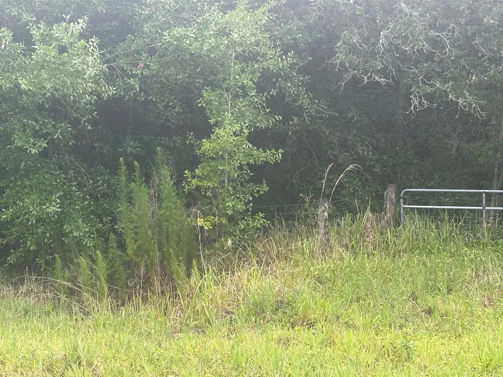 16687 NW 38th Avenue Okeechobee, FL 34972