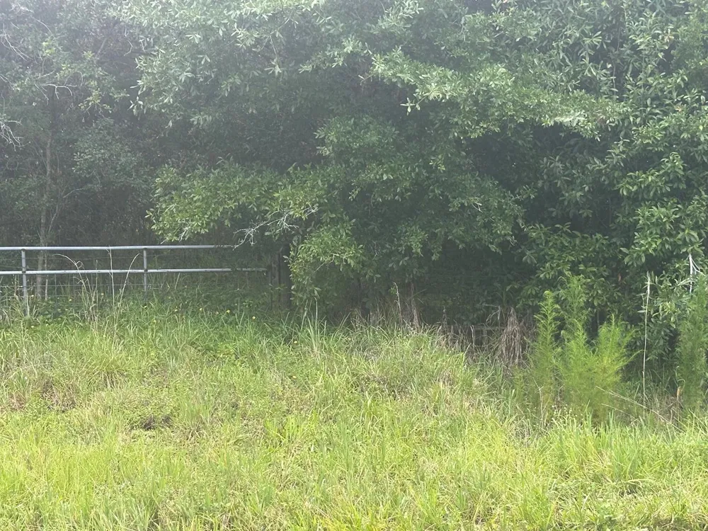 16687 NW 38th Avenue Okeechobee, FL 34972