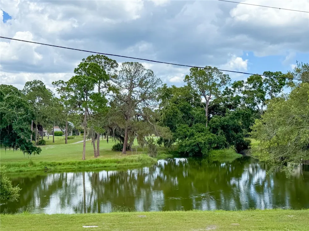2650 TANGLEWOOD TRAIL Palm Harbor, FL 34685