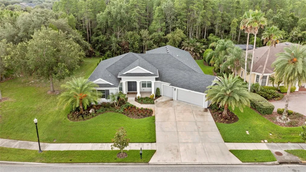 20454 LACE CASCADE RD Land O Lakes, FL 34637