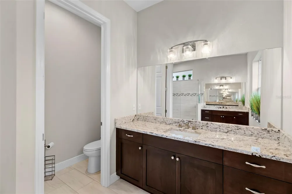 20454 LACE CASCADE RD Land O Lakes, FL 34637