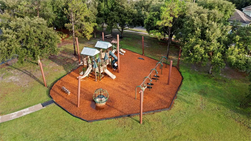 20454 LACE CASCADE RD Land O Lakes, FL 34637