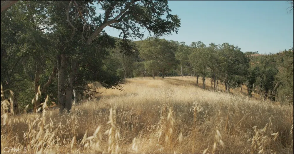 17012 Dam Clearlake, CA 95422