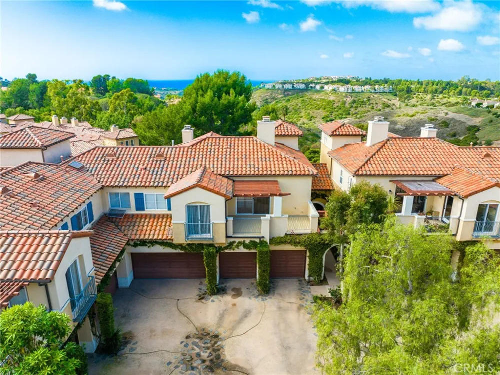 16 Savona Court Newport Coast, CA 92657