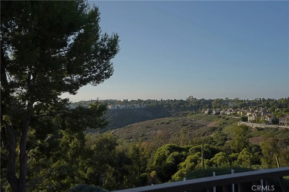 16 Savona Court Newport Coast, CA 92657