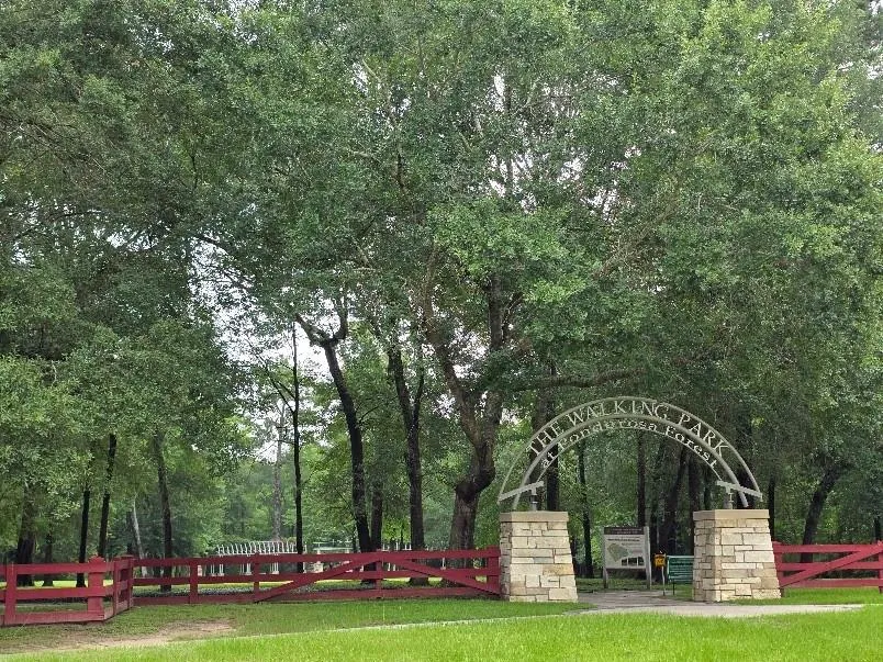 18023 Bambriar Drive Houston, TX 77090