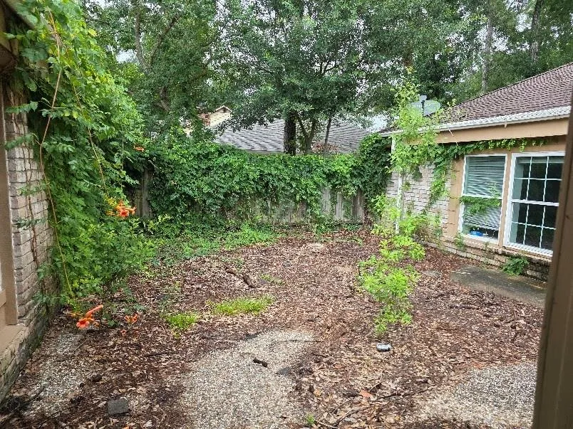 18023 Bambriar Drive Houston, TX 77090