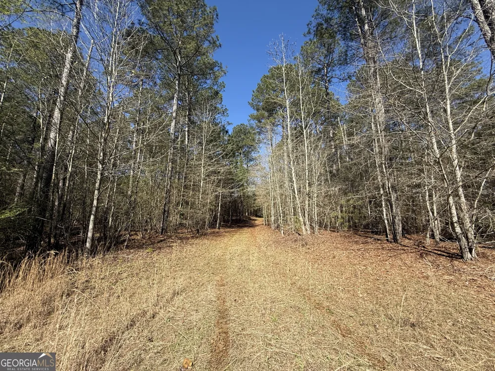 2375 Factory Hole DR Bowman, GA 30624