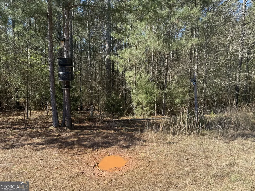 2375 Factory Hole DR Bowman, GA 30624