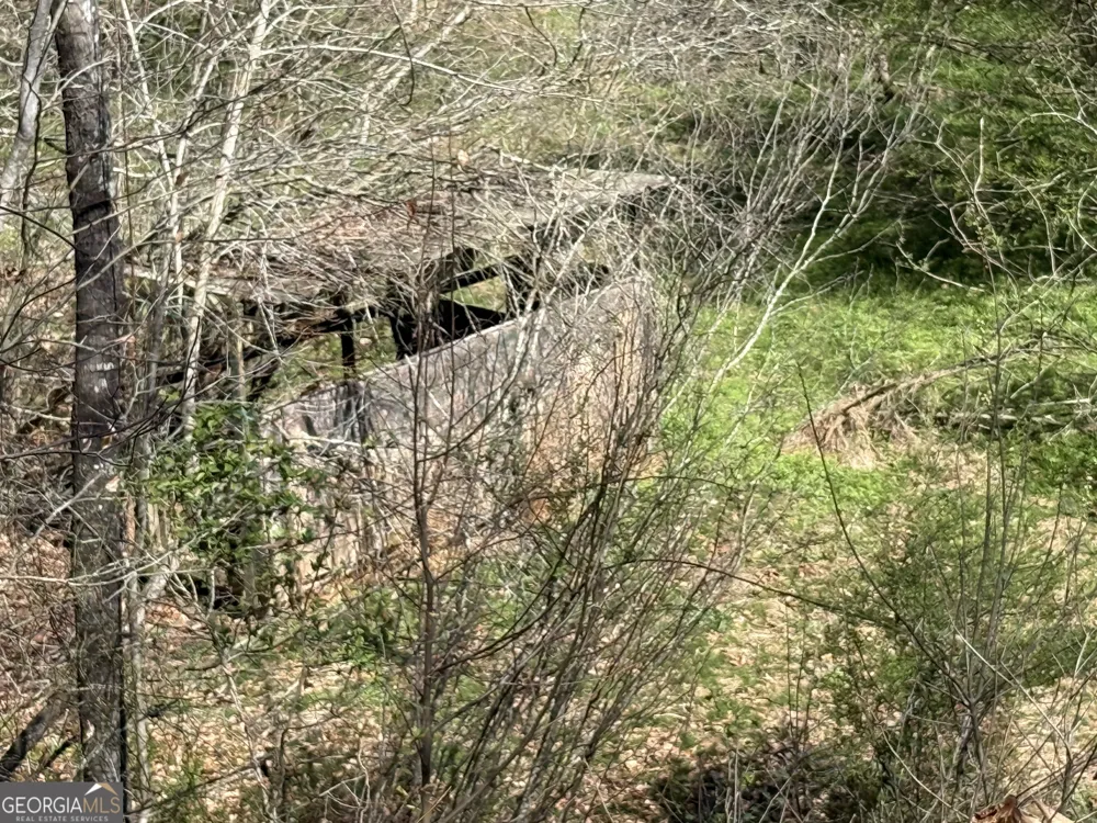 2375 Factory Hole DR Bowman, GA 30624