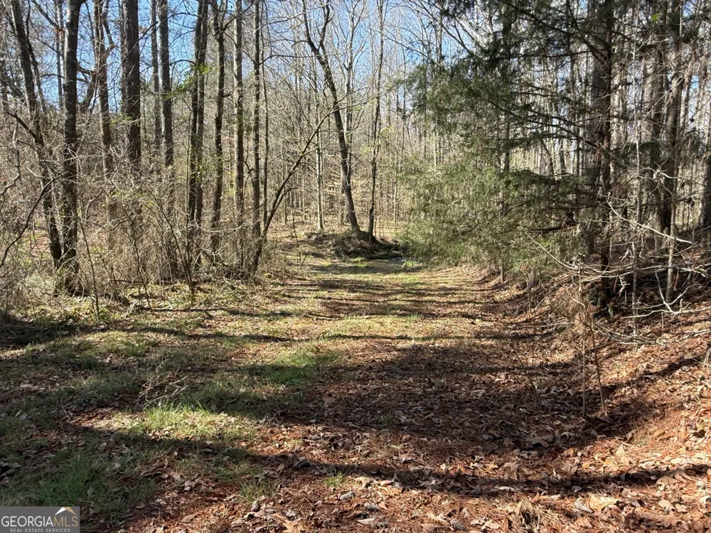 2375 Factory Hole DR Bowman, GA 30624