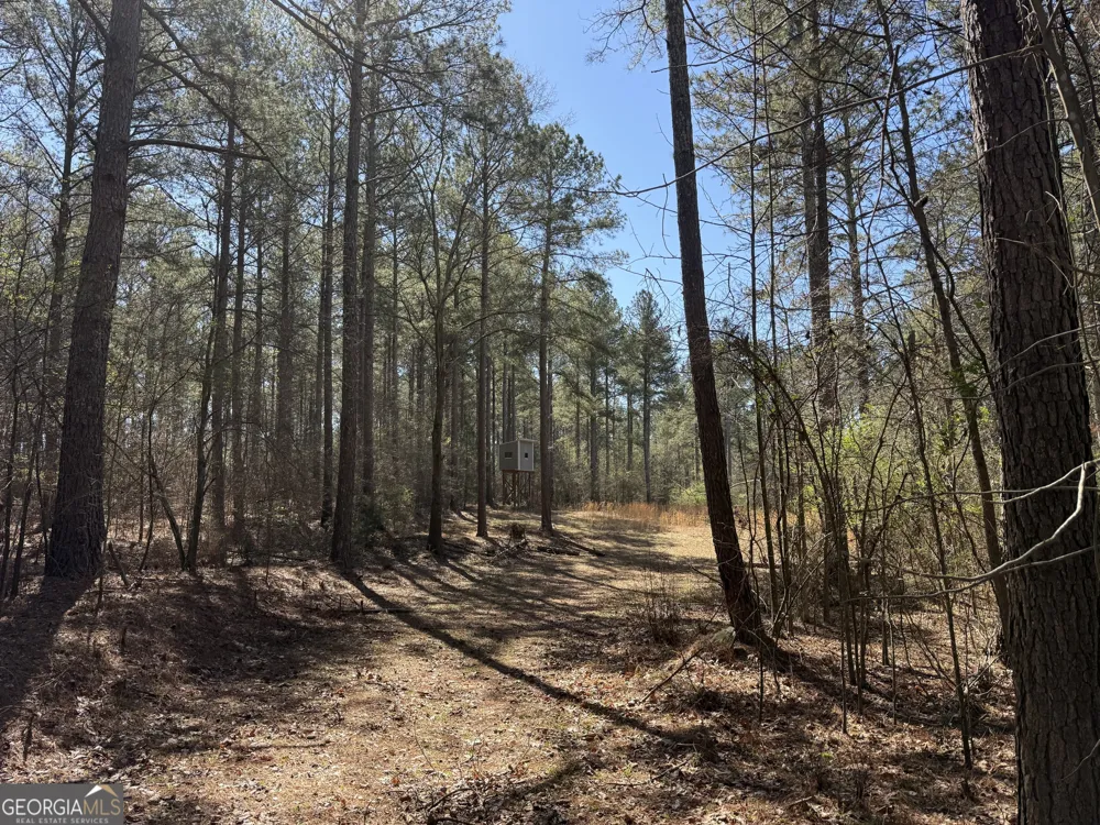 2375 Factory Hole DR Bowman, GA 30624
