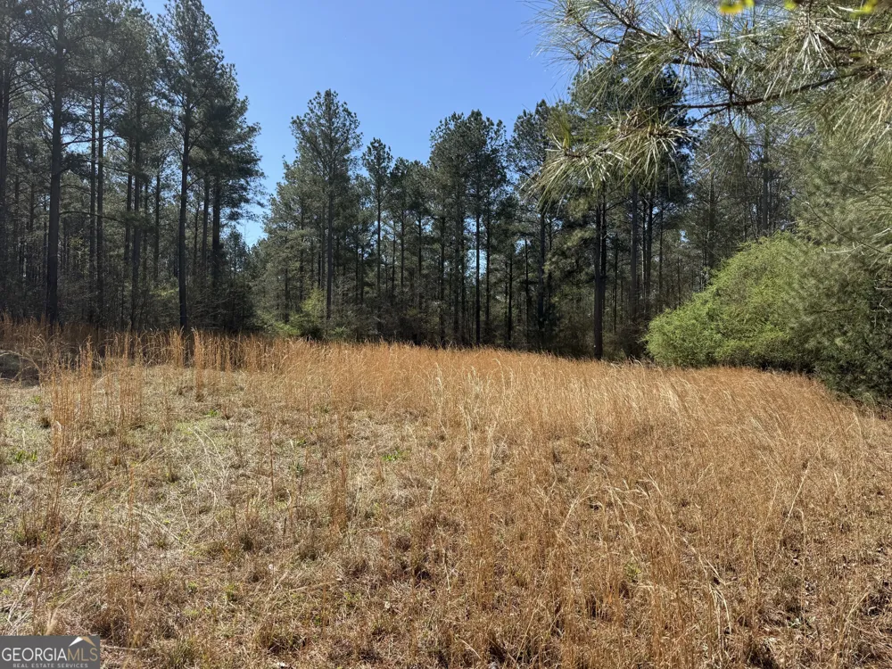 2375 Factory Hole DR Bowman, GA 30624