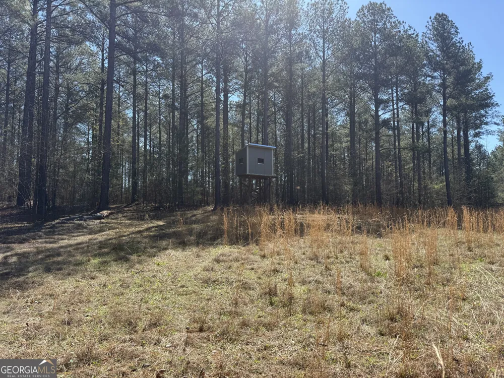 2375 Factory Hole DR Bowman, GA 30624