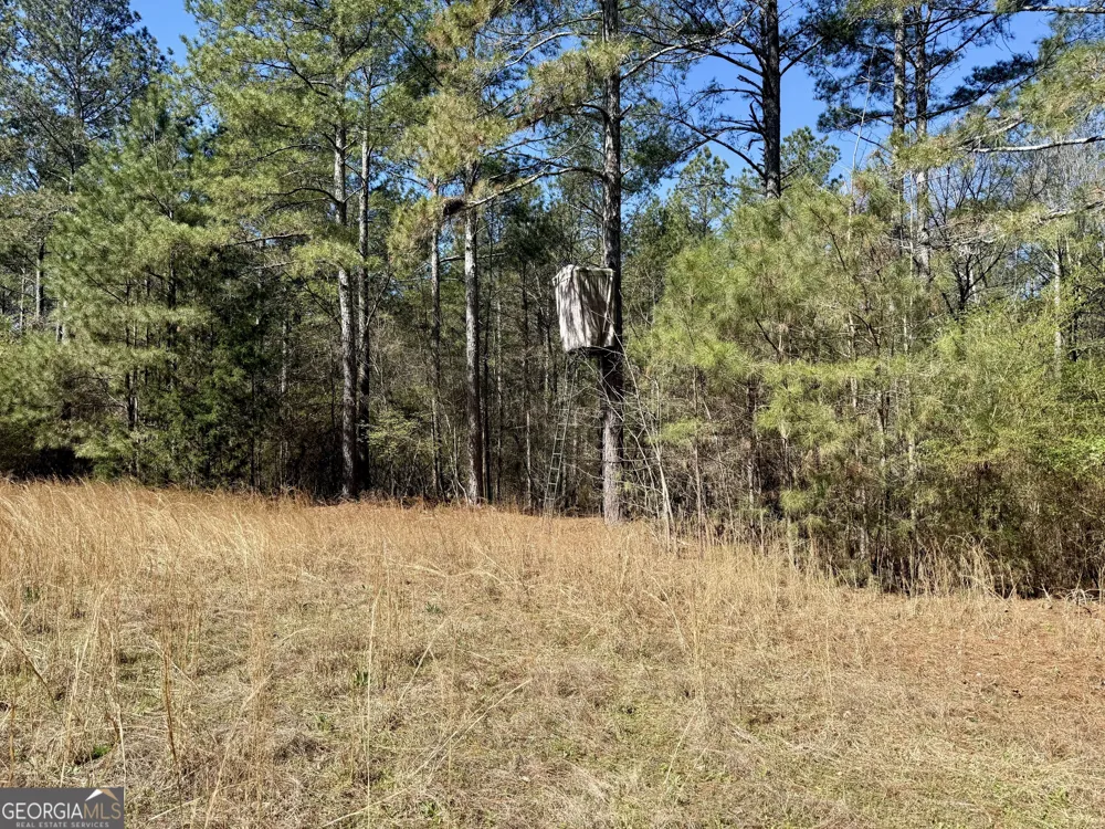 2375 Factory Hole DR Bowman, GA 30624
