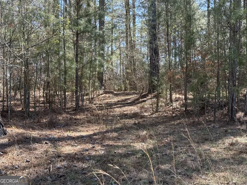2375 Factory Hole DR Bowman, GA 30624