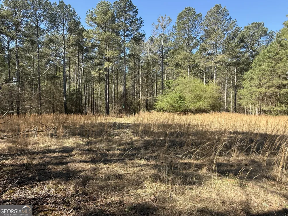 2375 Factory Hole DR Bowman, GA 30624