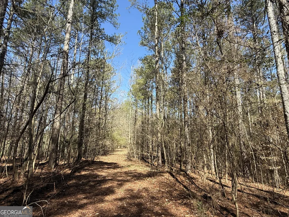 2375 Factory Hole DR Bowman, GA 30624