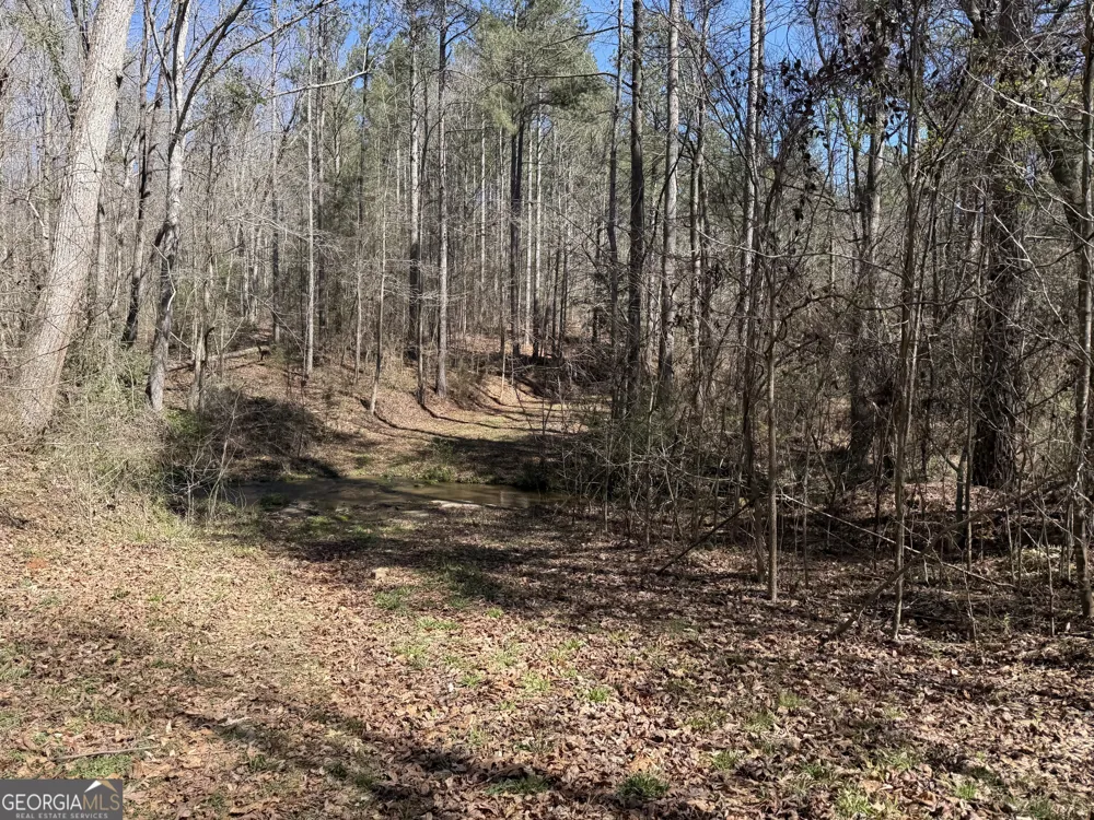 2375 Factory Hole DR Bowman, GA 30624