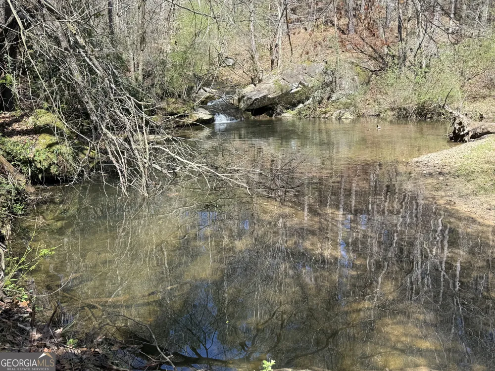 2375 Factory Hole DR Bowman, GA 30624