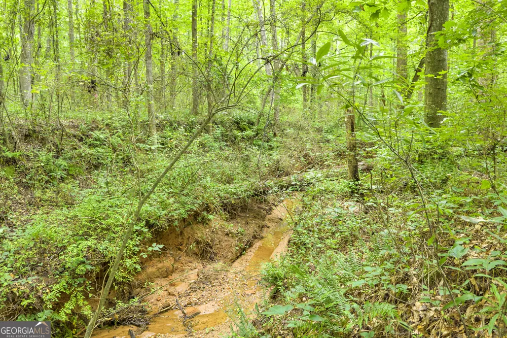587 J B Owens RD Bethlehem, GA 30620