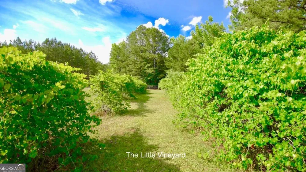 3701 Little River RD Madison, GA 30650