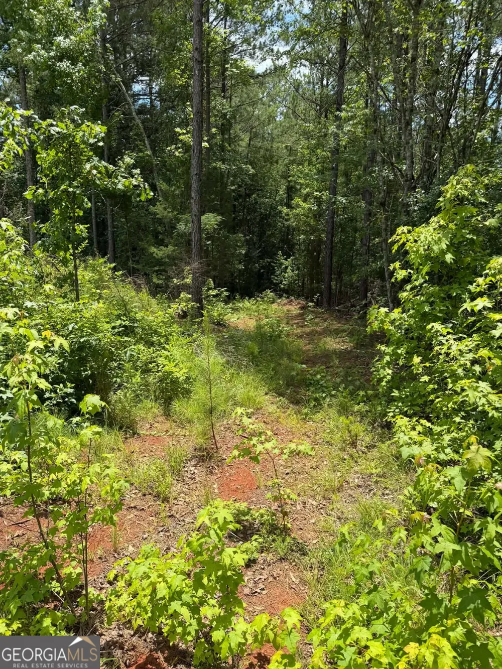 0 Whatley North RD LaGrange, GA 30240