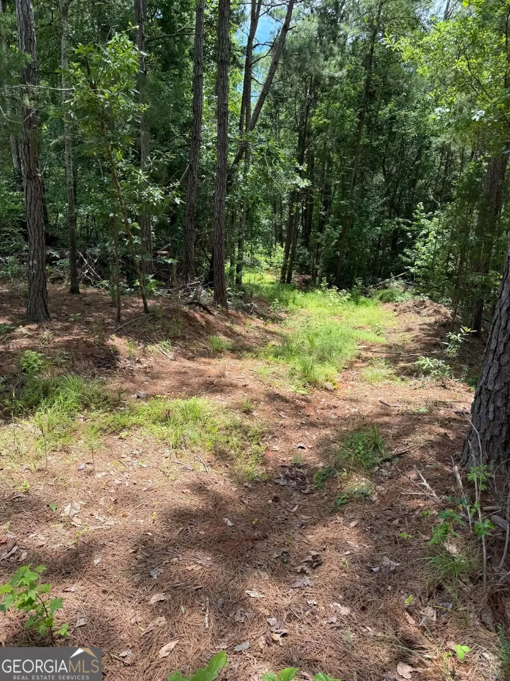 0 Whatley North RD LaGrange, GA 30240